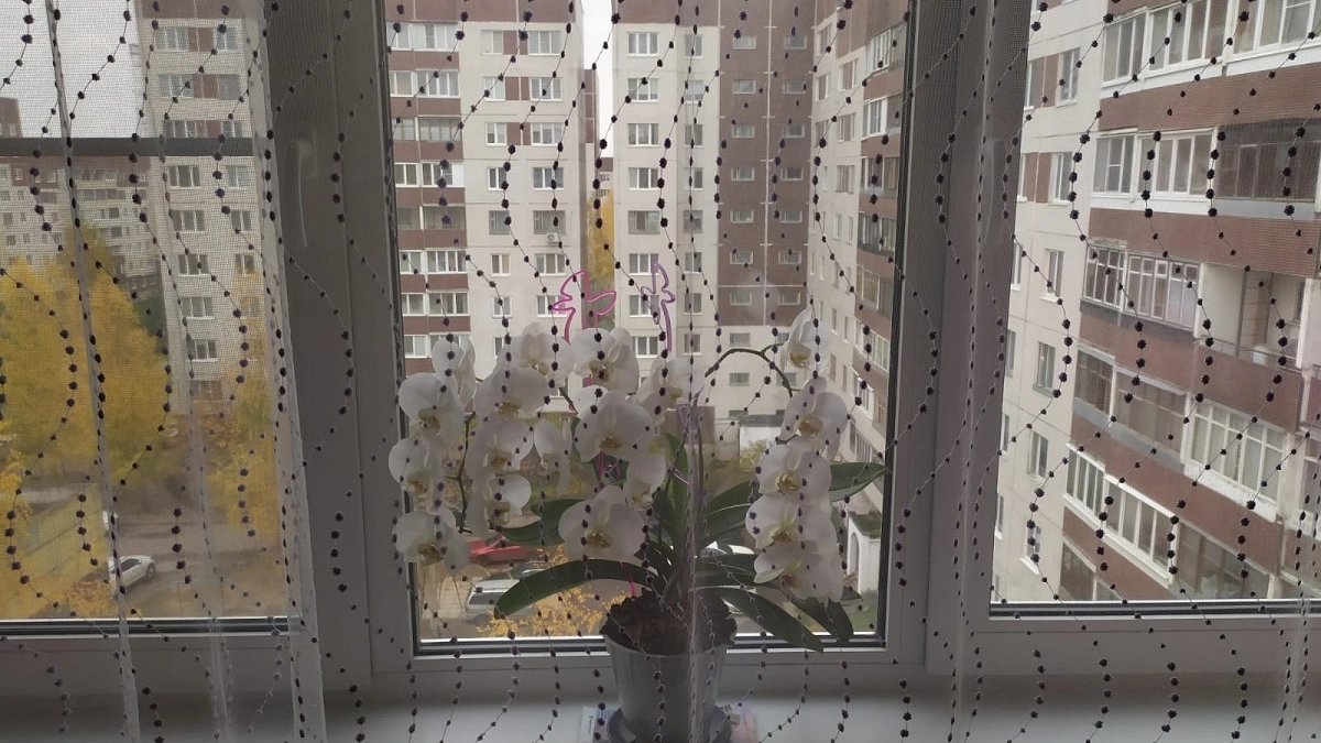 Это вышло из моды: 6 видов штор, которые испортят ваш интерьер - превратят в "бабушкину квартиру"