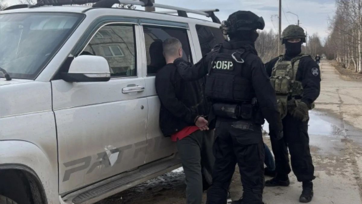 Полиция Коми раскрыла канал сбыта наркотиков