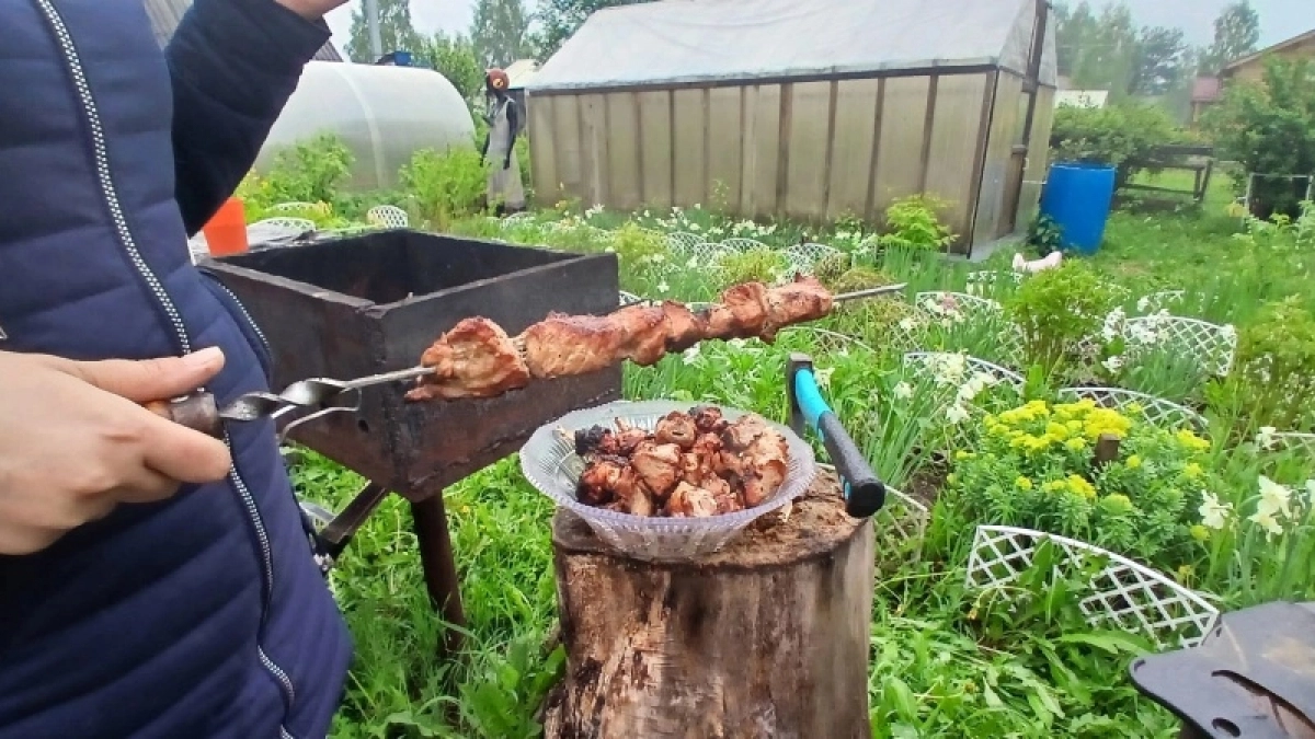 Мясо просто тает во рту: 3 варианта вкусно замариновать свинину для сочного шашлыка