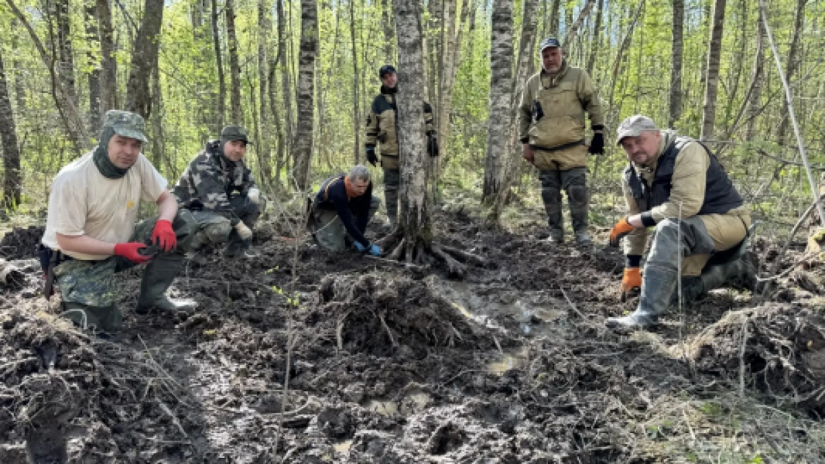 В Коми поисковики подняли останки 12 бойцов Красной армии в Новгородской области
