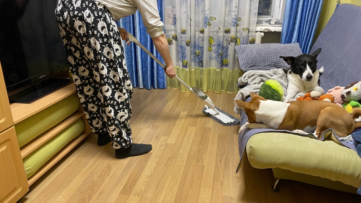 Часы на уборку больше не трачу - есть способ избавиться от пыли дома за минуты: китайский метод поддержания чистоты
