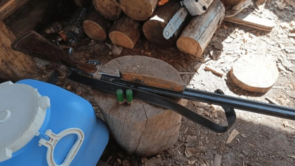 Инспекторы пресекли браконьерство в заказнике "Илычский" на территории Коми