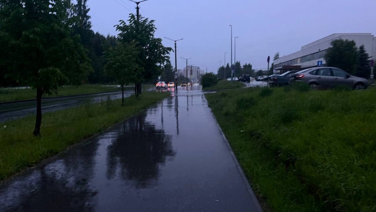 Синоптики рассказали, какой будет погода в Коми на предстоящей неделе