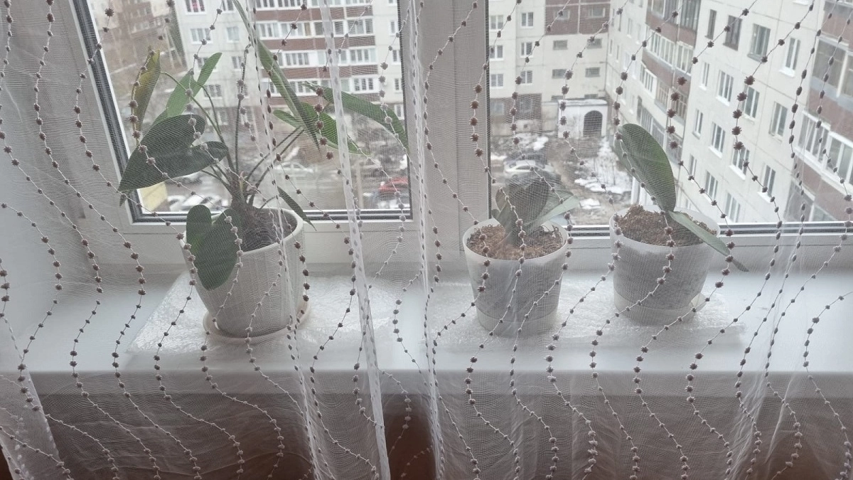 Вешать тюль на окна — колхоз: чем опытные хозяйки заменяют привычные шторы в 2026 