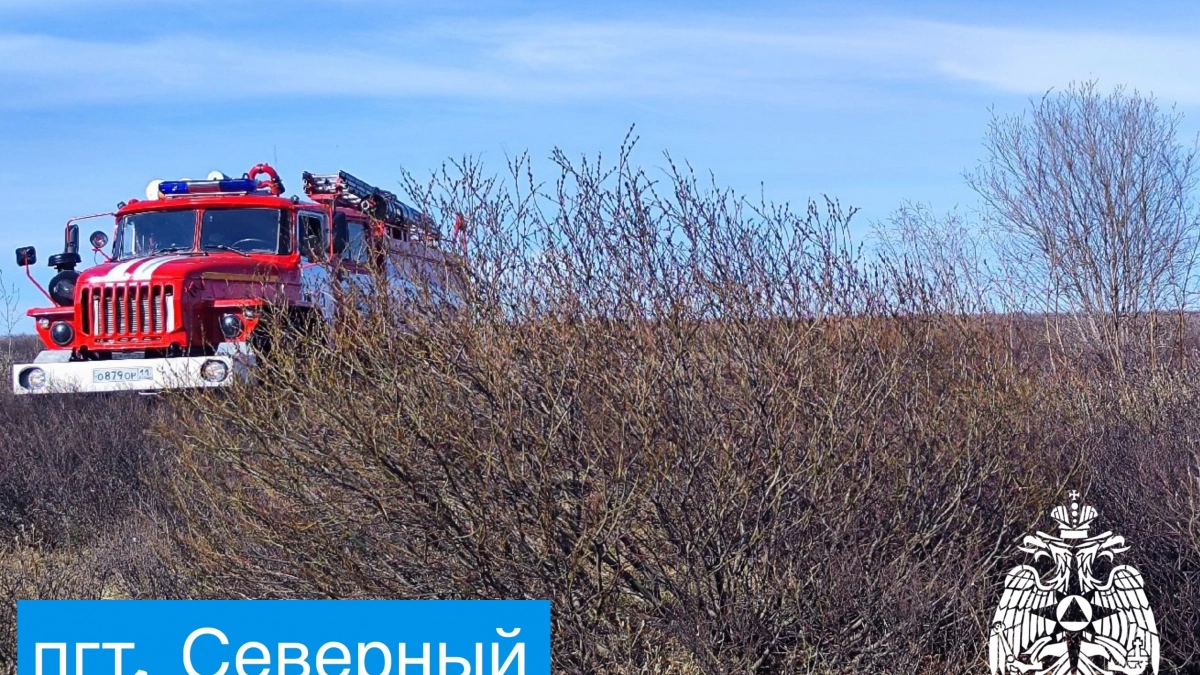 За сутки в Коми сгорели заброшенное здание, времянка и сотни квадратных метров травы