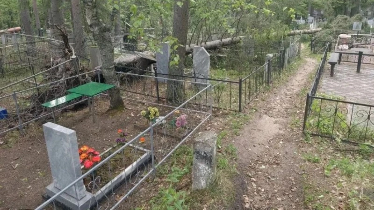 На кладбищах Коми ликвидируют последствия сильного шторма