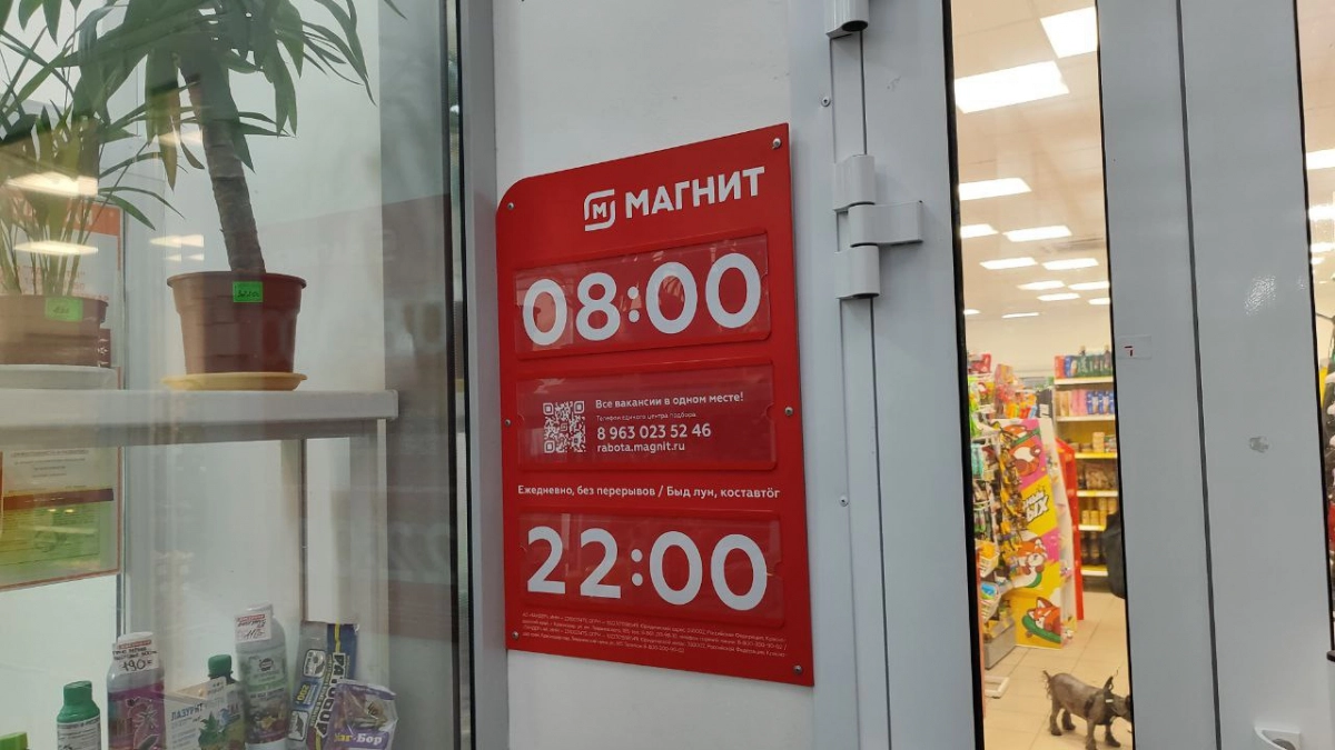 Нашел в «Магните» 5 классных продуктов - купил без раздумий: рассказываю об интересных новинках