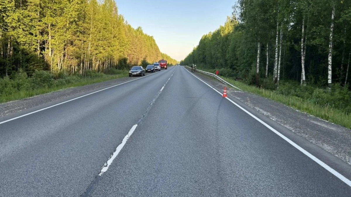 В Коми нетрезвый водитель "ВАЗ-2115" опрокинулся в кювет
