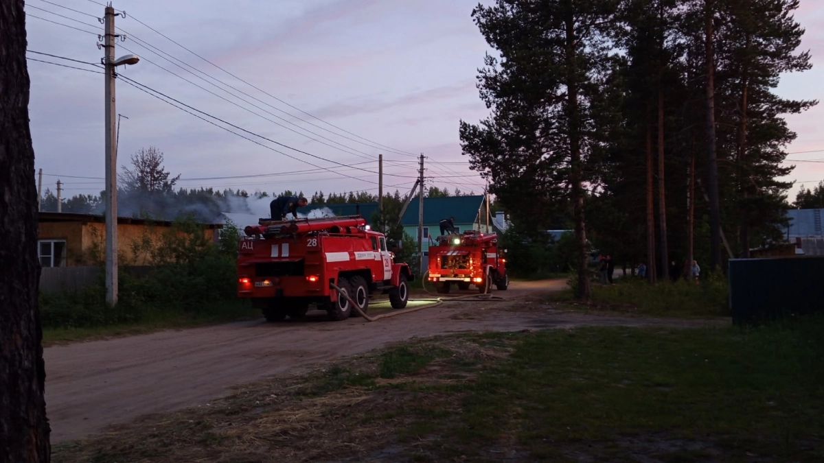 В Коми за сутки ликвидировали три пожара