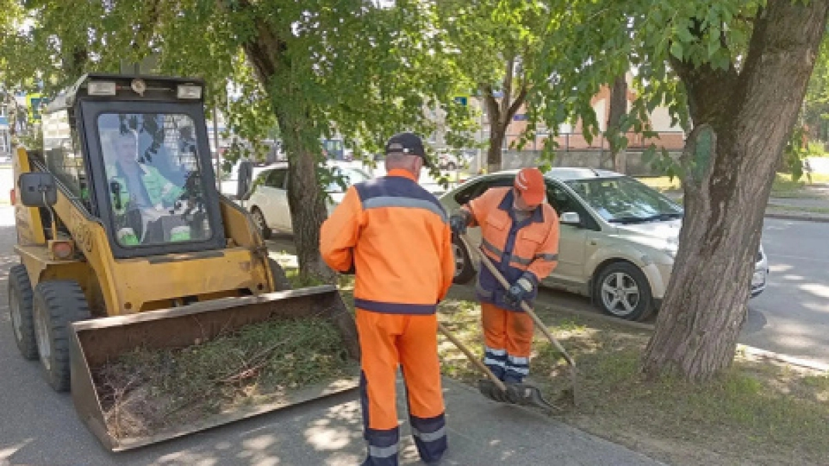 Власти отчитались о ликвидации последствий ливня в Коми 