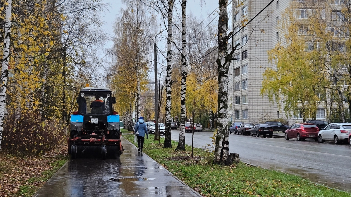 Жителям Коми объяснили, почему дороги моют даже во время дождя
