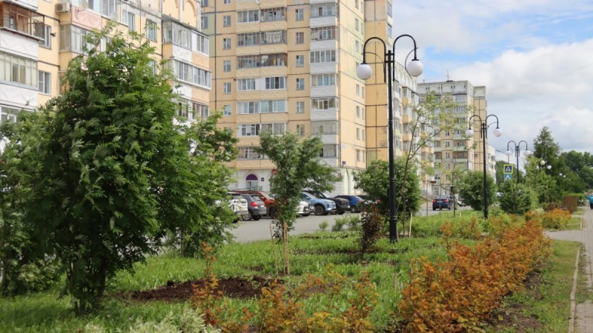 В Коми высадили 1400 кустарников и 20 деревьев