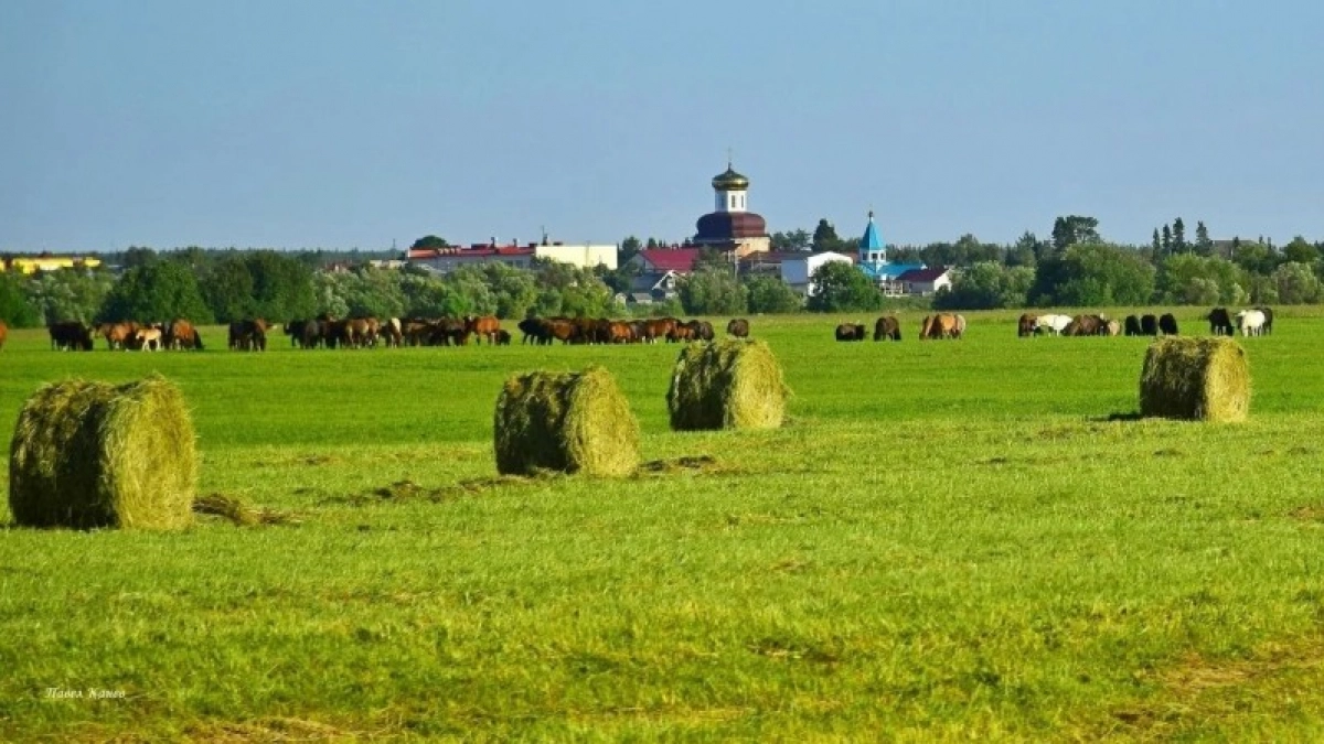 Девять районов Коми отмечают дни рождения