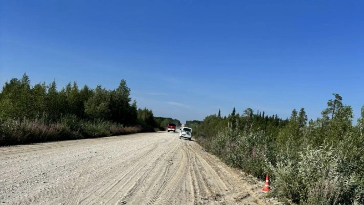 В Коми водитель иномарки съехала в кювет и получила травмы