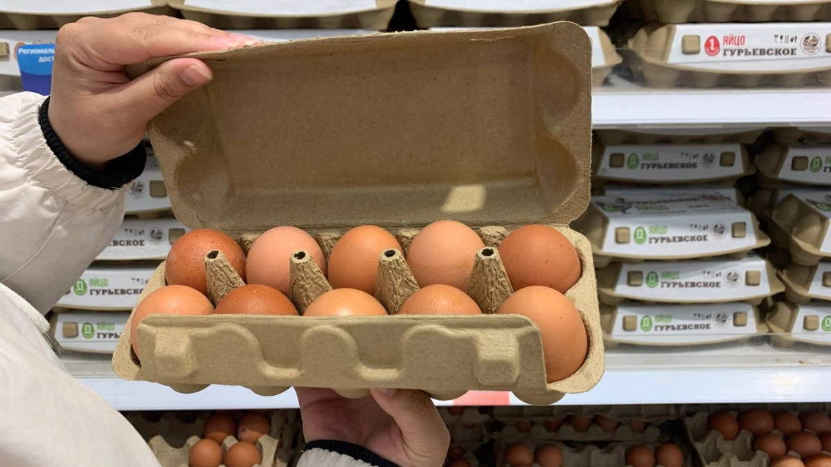 Как в магазине отличить свежие яйца от несвежих: 3 надежных метода