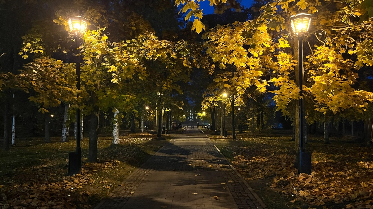 Власти Коми назвали причины отключения света в одном из муниципалитетов республики