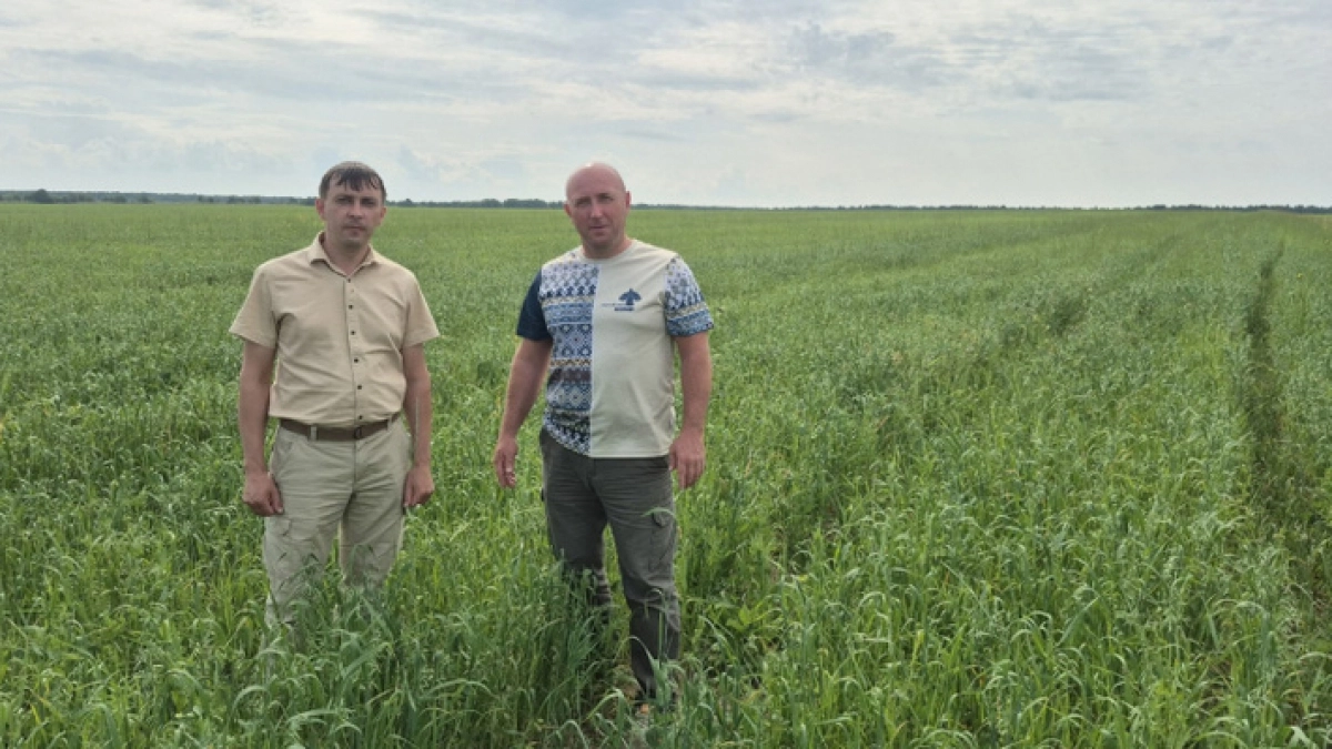 Минсельхоз Коми направит аграриям 696 миллионов рублей
