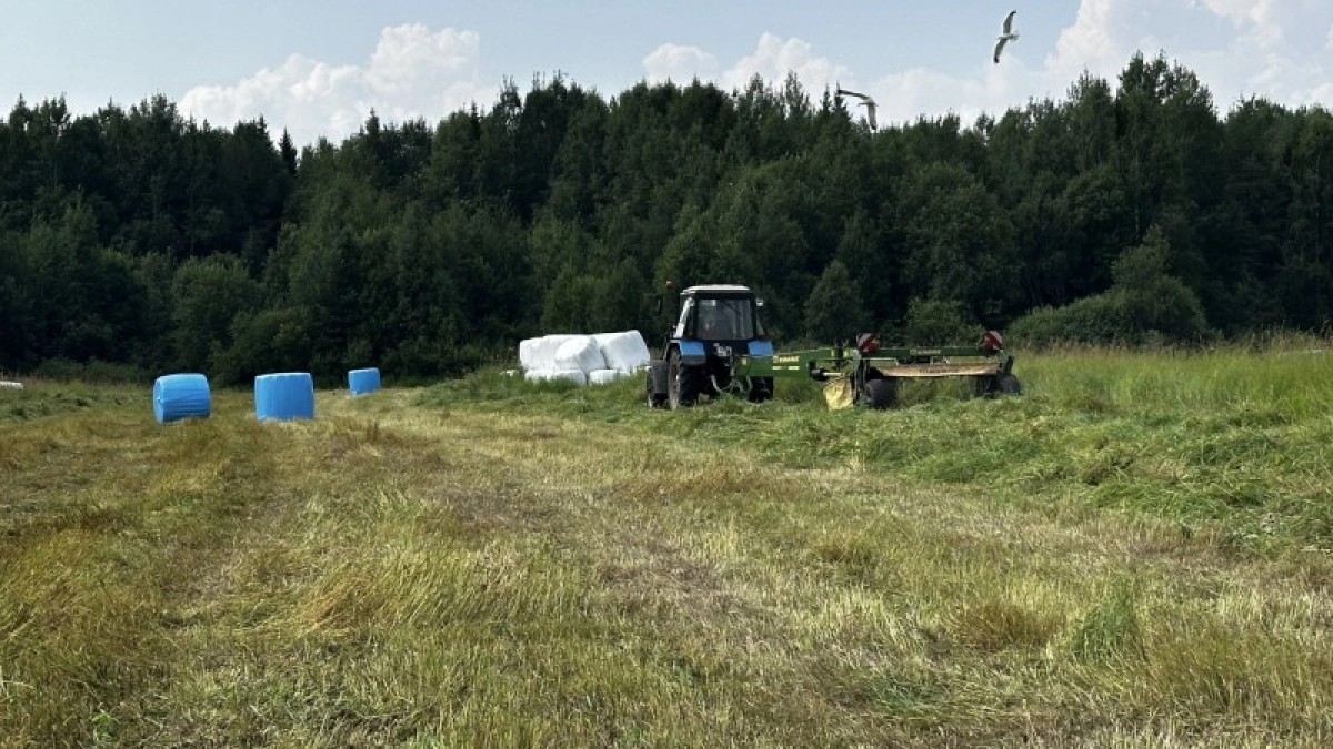 В Коми внедряют современные технологии кормозаготовки