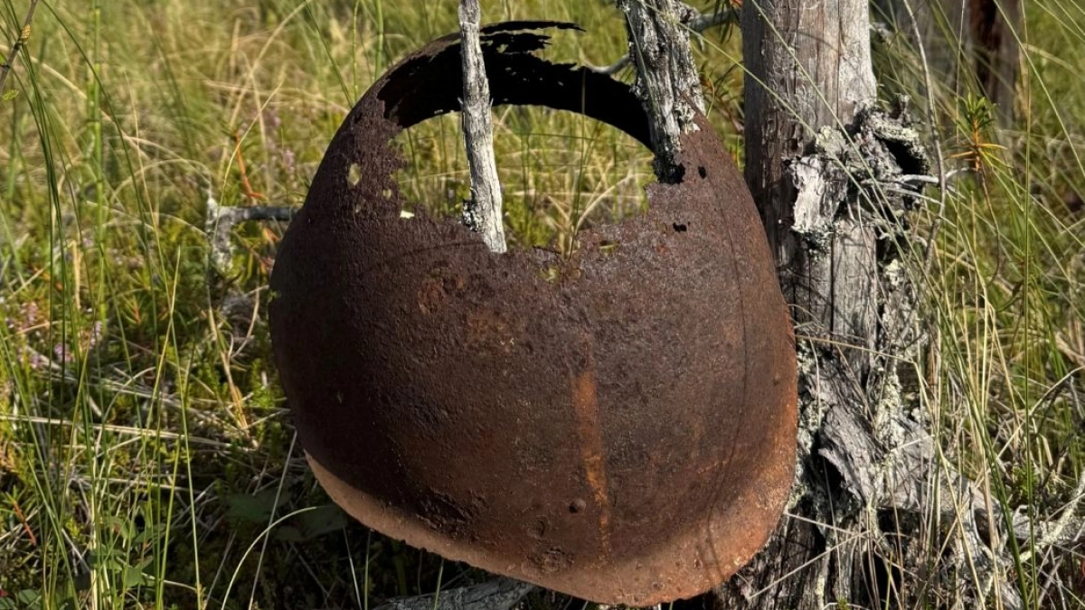 Следователи из Коми обнаружили останки красноармейцев в Карелии