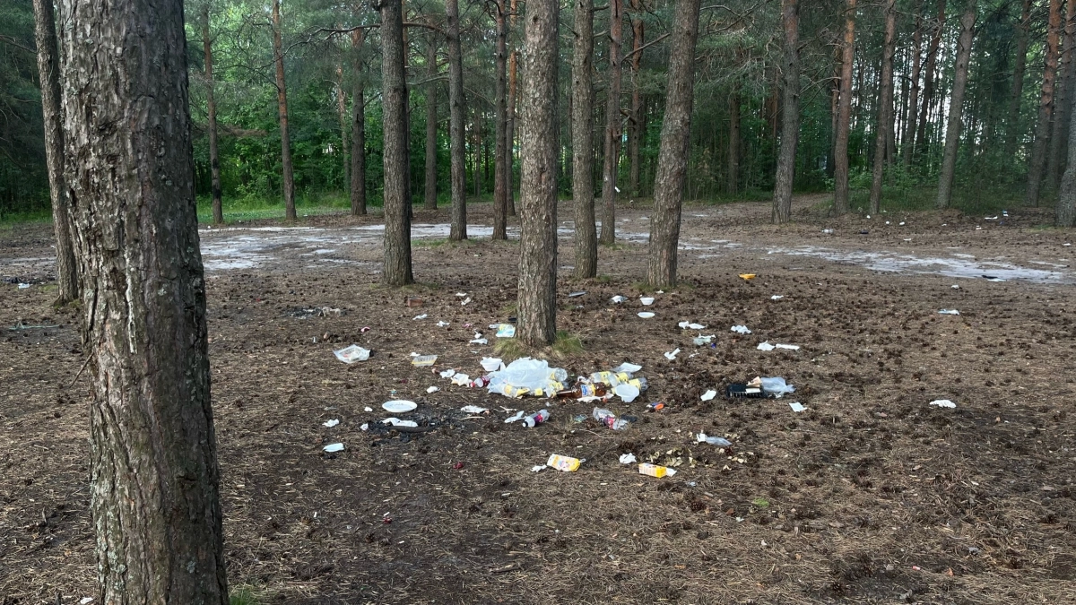 Власти Коми уберут 73 свалки