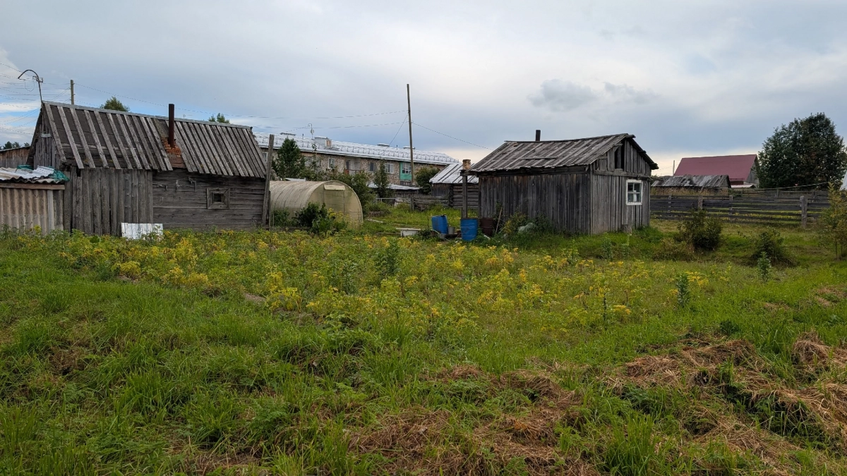 Лучше пусть сгниет, но соседям ни одной картошки: почему нельзя отдавать излишки урожая с огорода - не просто примета