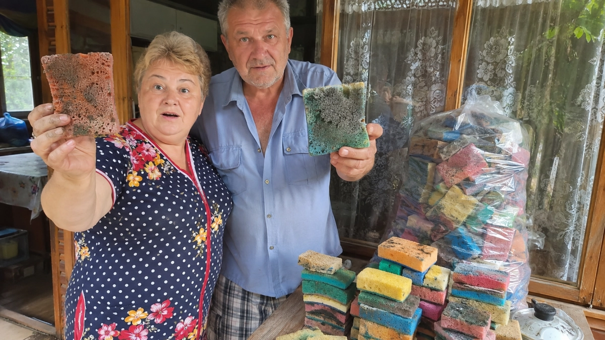 Старые кухонные губки не выбрасываю: сушу и складываю в пакет — весной на даче за ними очередь
