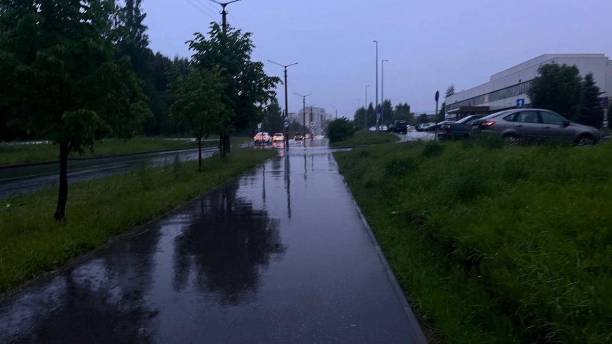 Грозы и шквалистый ветер накроют Коми 25 августа
