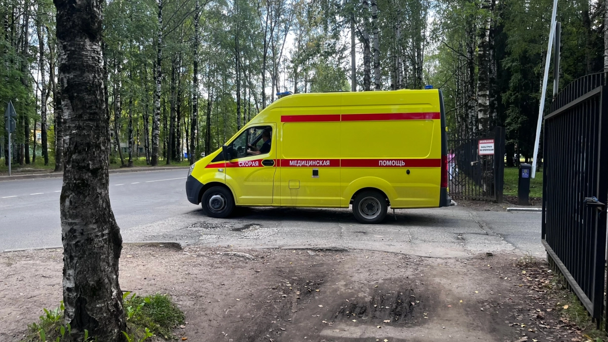 В Коми алабай искусал 13-летнюю школьницу