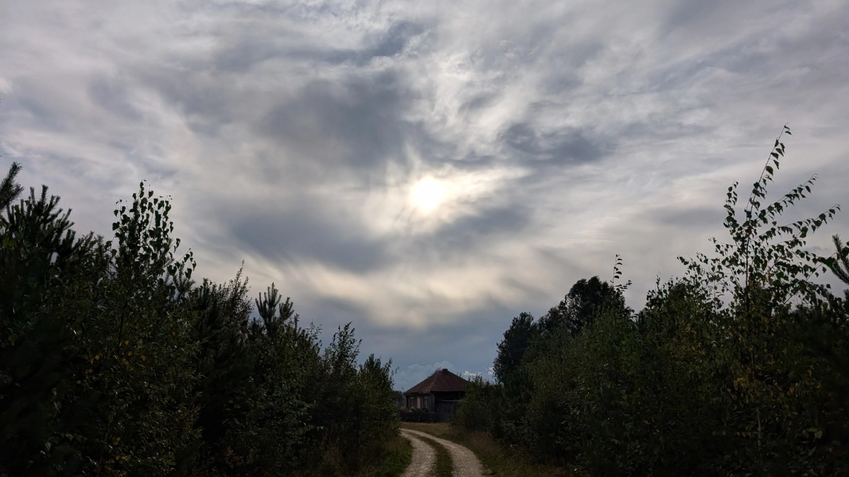 В Коми 8 сентября потеплеет до +19 °C