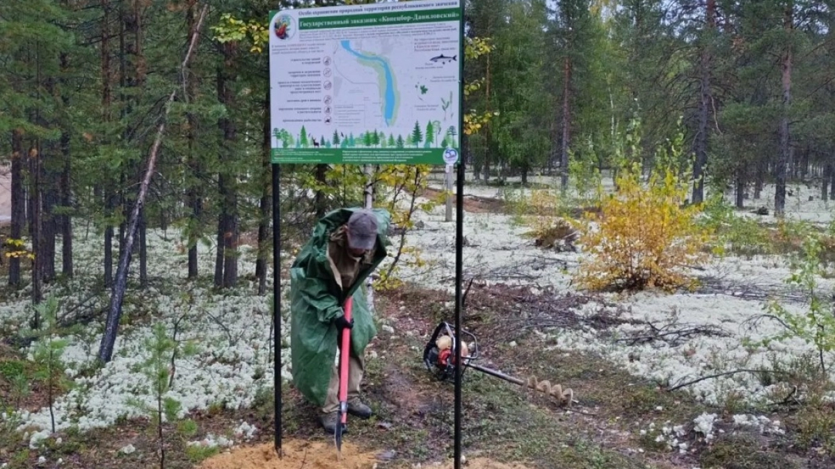 В Коми обозначили границы заказника «Конецбор-Даниловский» для спасения редкой нельмы