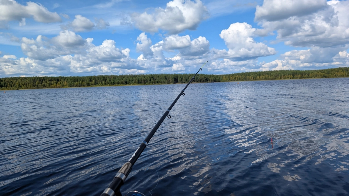 В Коми 9 сентября потеплеет до +25°C
