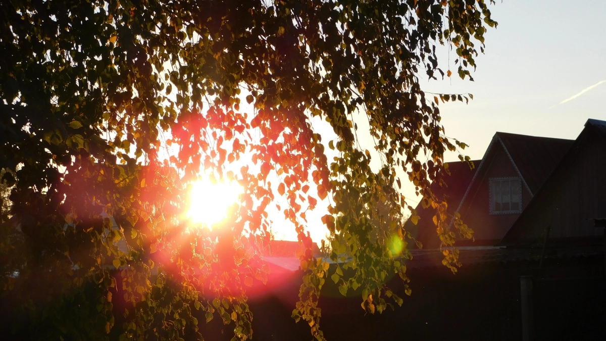 В Коми потеплеет до +22°C: что принесёт погода 10 сентября