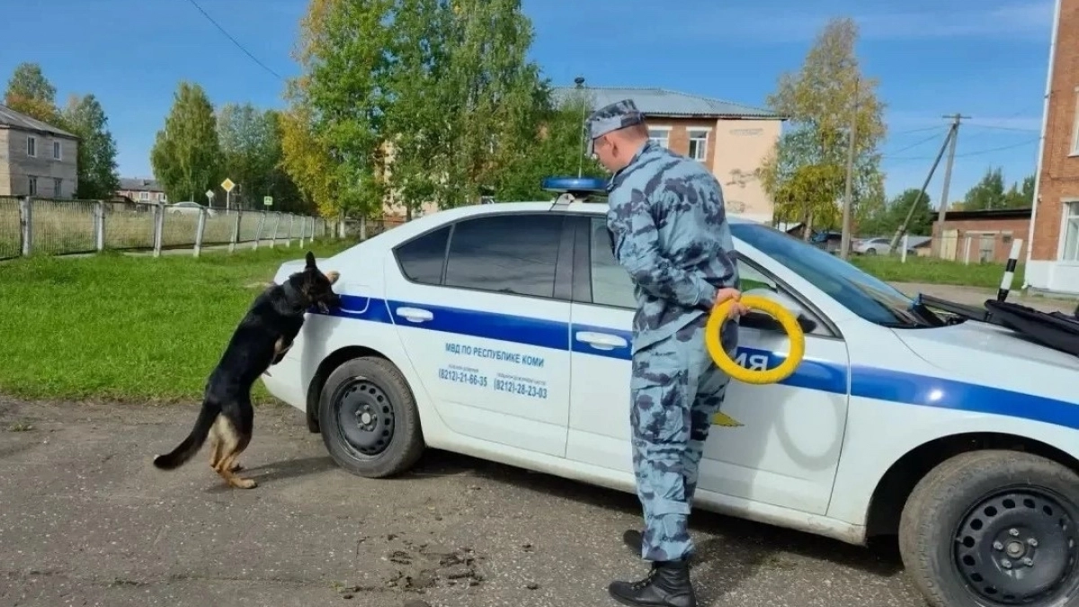 В Коми полицейские провели профориентационную встречу для школьников