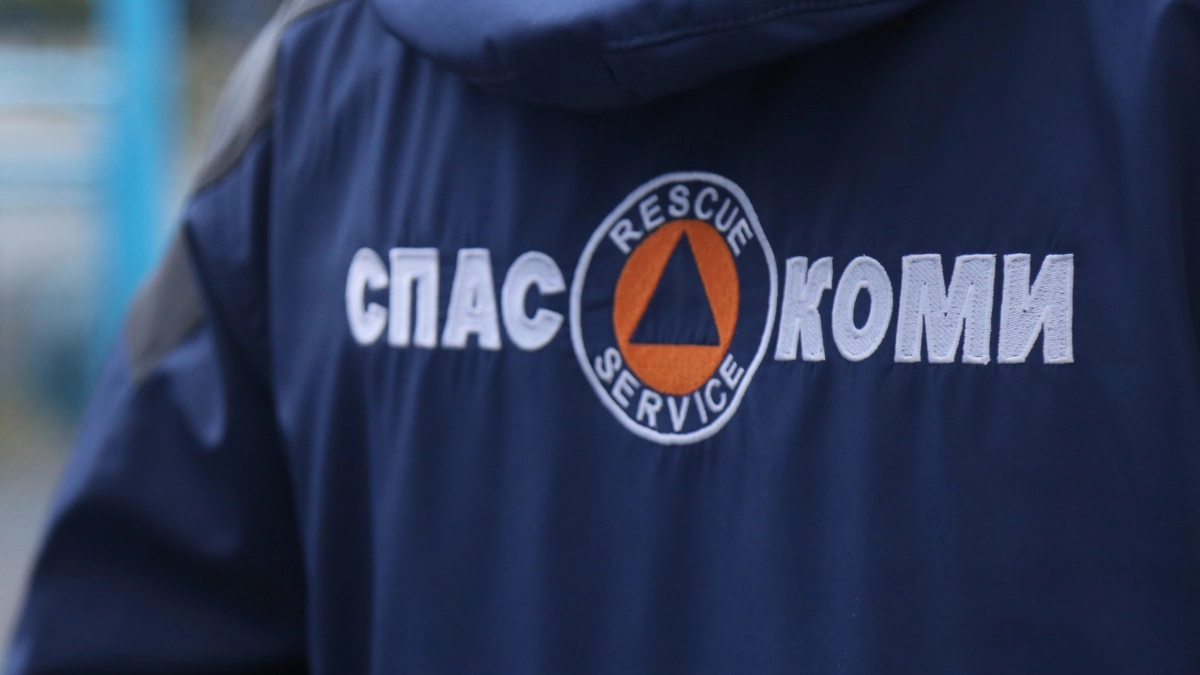 Решил покрасить стены и потерял сознание: в Коми мужчину достали из картофельной ямы