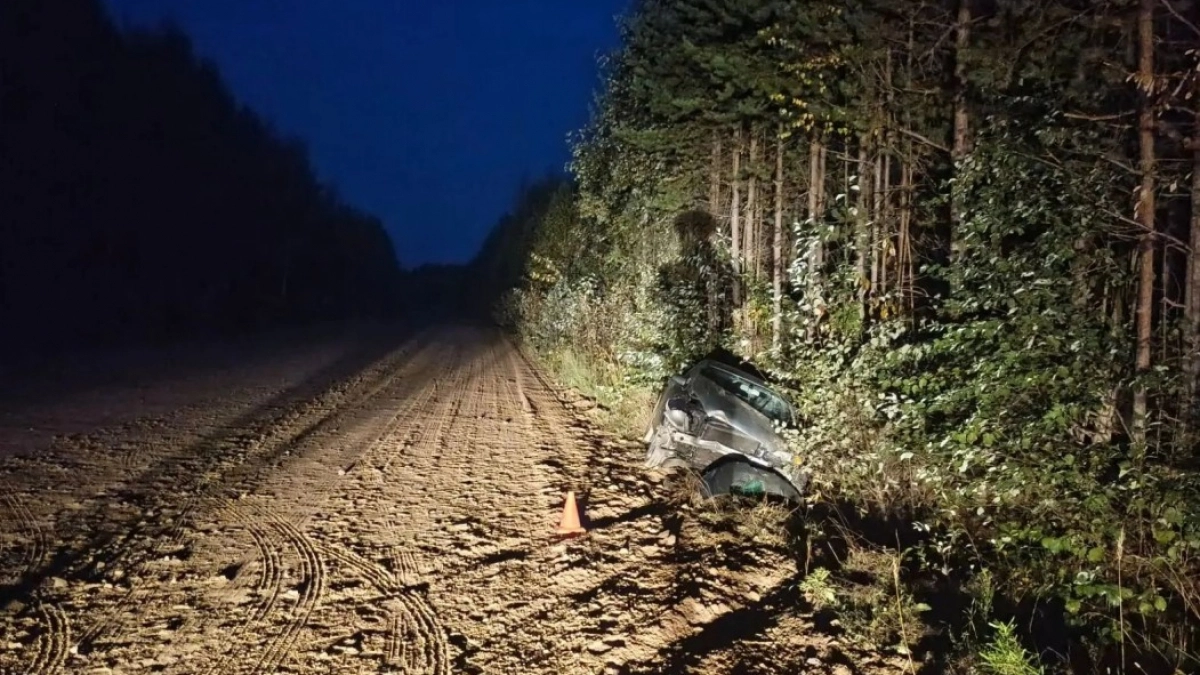 В Коми водитель Audi съехал в кювет и получил травмы лица