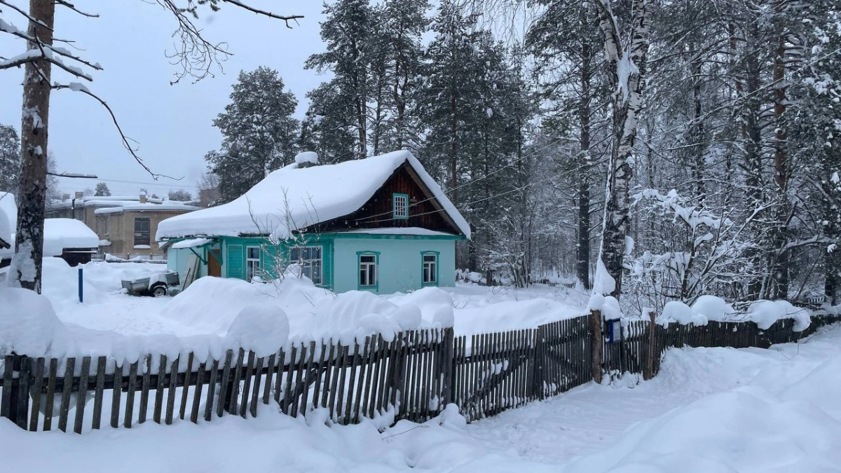 Пока соседи запасают дрова, я грею дом зимой за копейки: хитрый способ, о котором мало кто знает