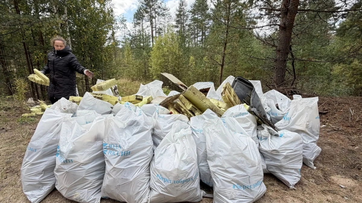 В Коми ликвидировали часть несанкционированной свалки в лесу