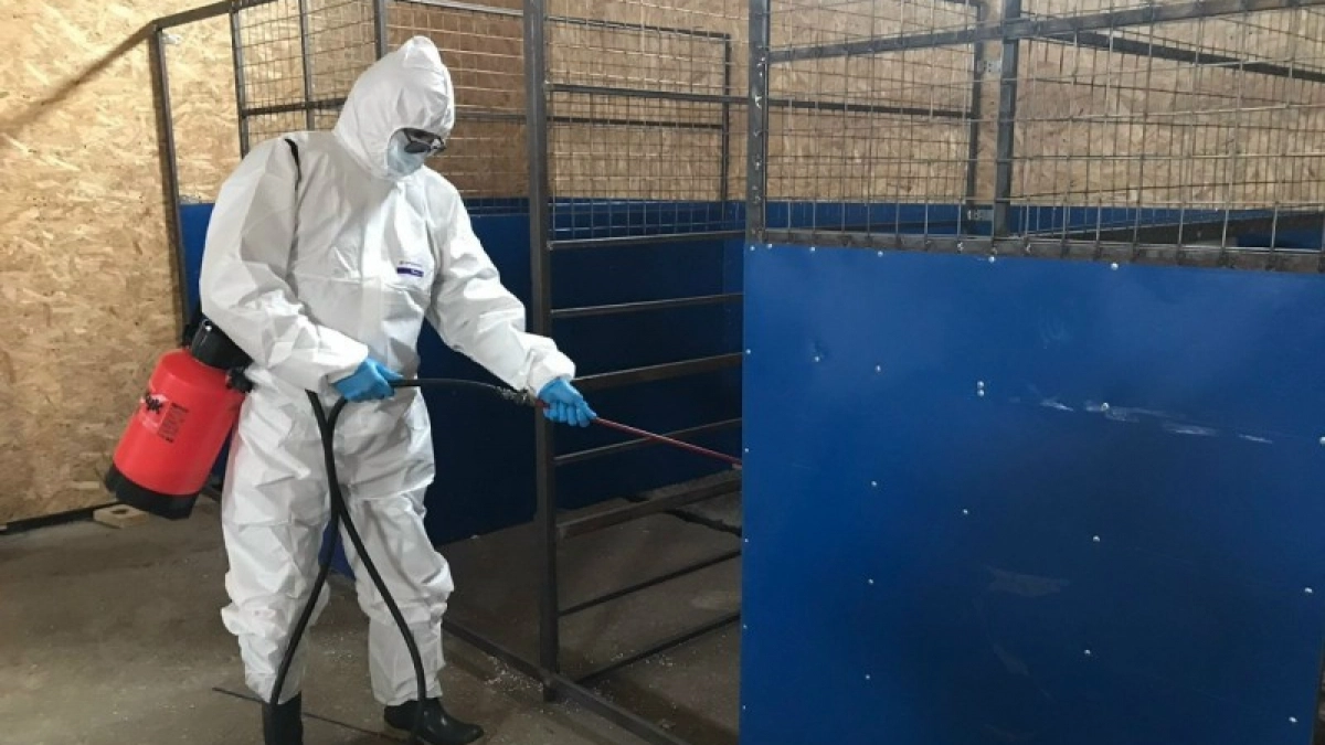 В Коми ликвидировали все очаги заразных болезней животных