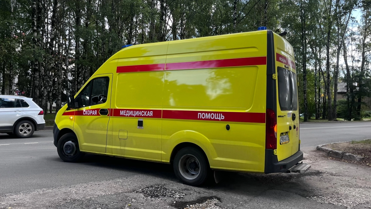 В Коми мужчина погиб при просушке картофельной ямы печкой
