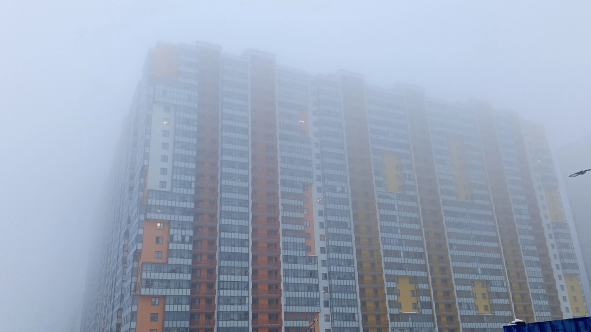 Синоптики Коми прогнозируют туманы и дожди 15 октября