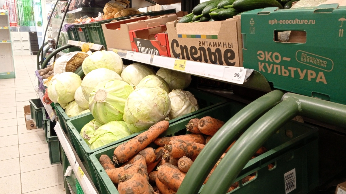 Картофель в Коми за неделю подешевел на 6,8%