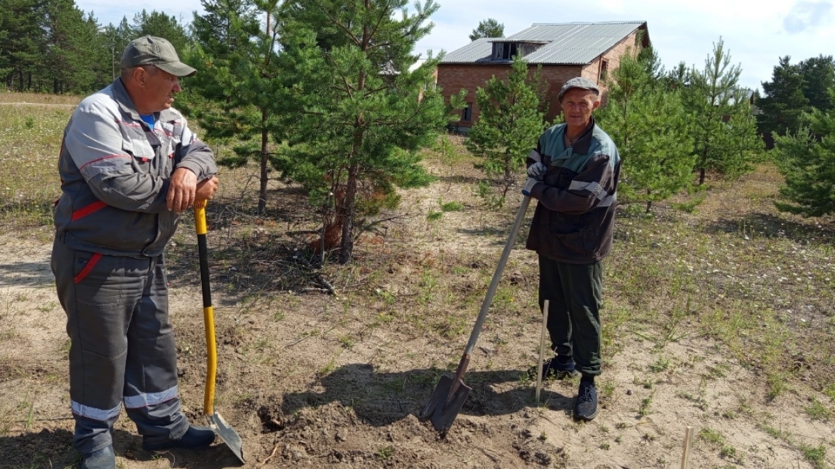 За деньгами – в село: жителям Коми рассказали, кому осенью платят больше всего