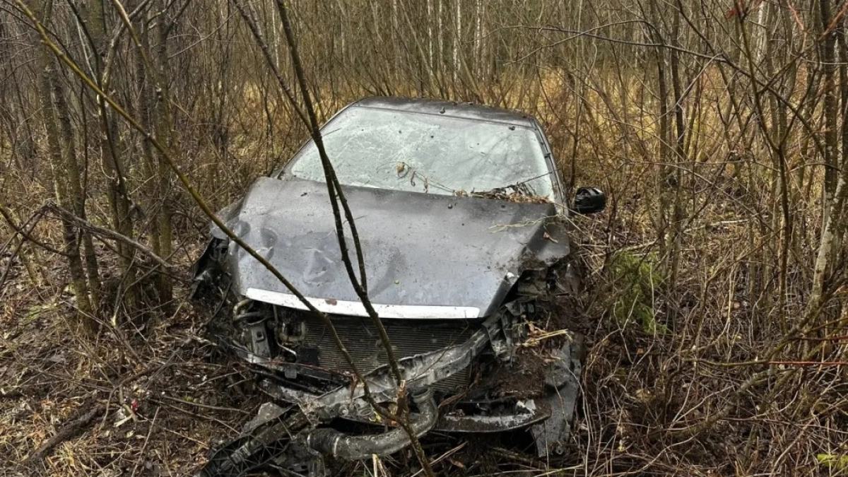 Пьяный водитель вылетел в кювет после запрещённого обгона под Ухтой