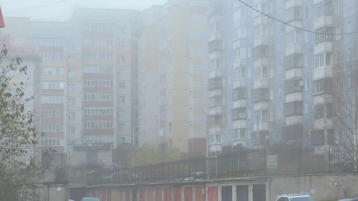 Туман и утренние заморозки ожидаются в Коми 24 октября