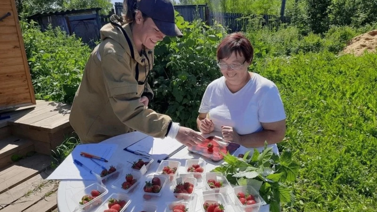 В Коми завершили два аграрных проекта и готовят к запуску еще четыре