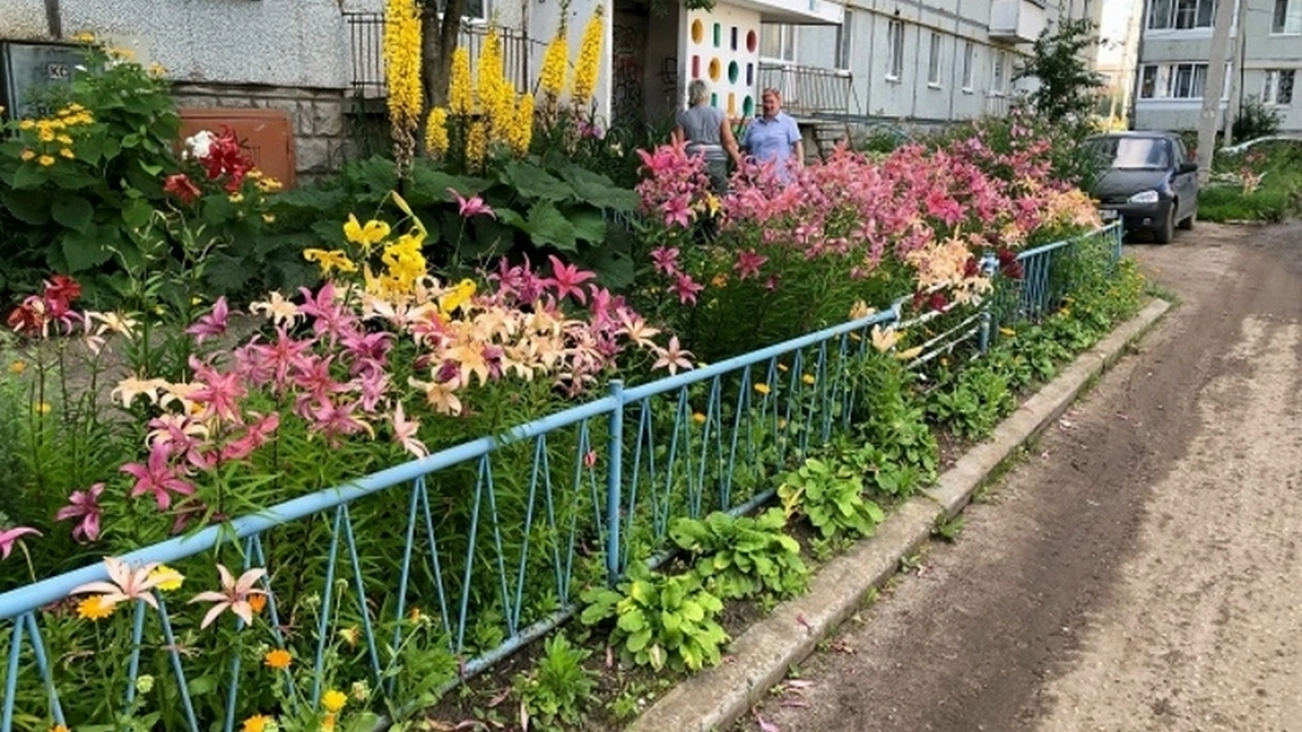 Жилец в Коми потребовал через суд убрать клумбы, чтобы ходить к подъезду по газону
