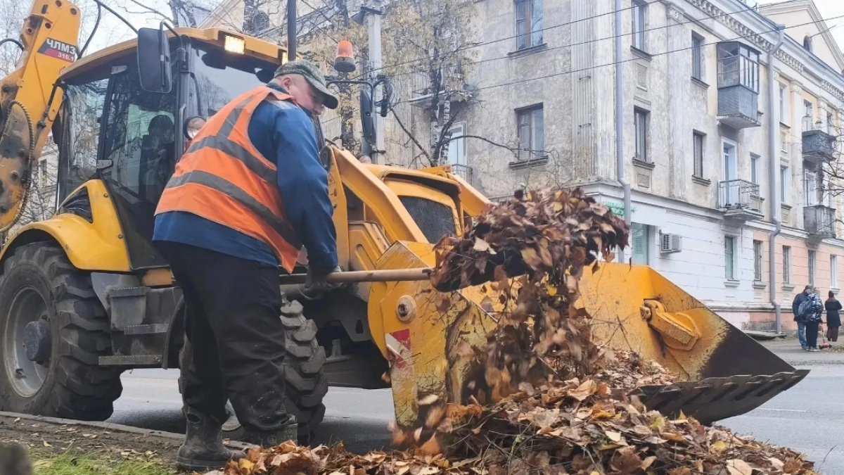 «Зачем вы кинулись убирать листву?»: возмущенным осенней уборкой ухтинцам ответили в администрации