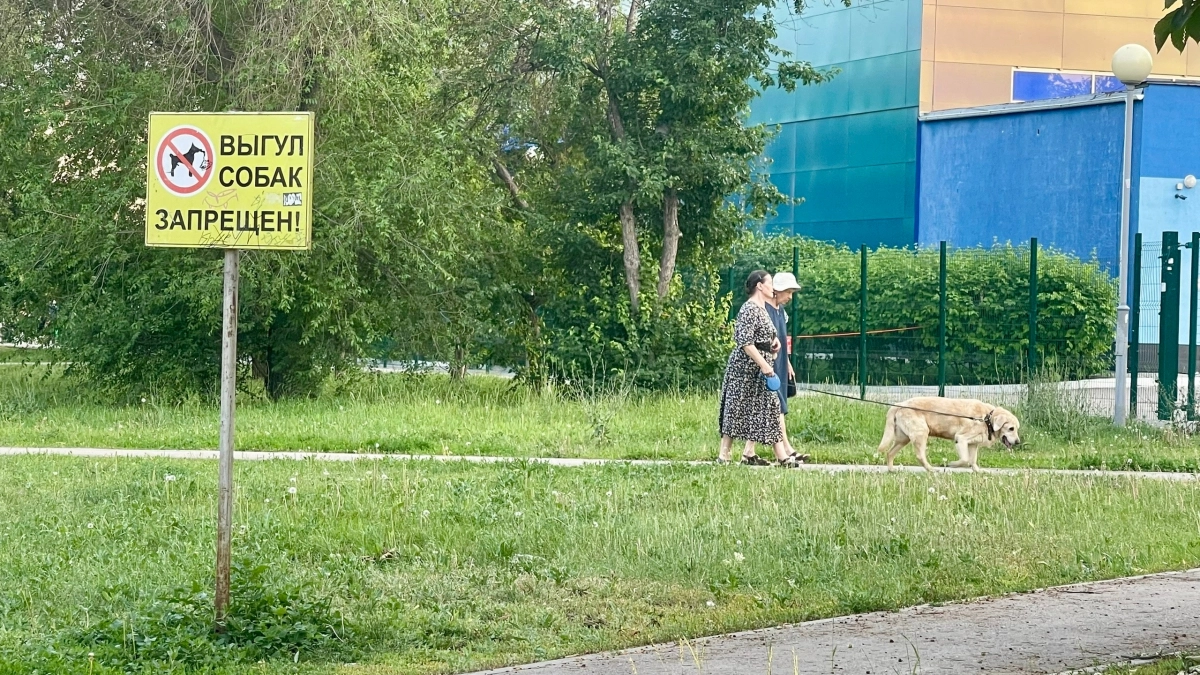 Верный признак низкого интеллекта»: жёсткие слова профессора Бехтерева — как сохранить ясный ум даже после 80 лет