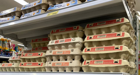 Куриные яйца не покупаю уже год: от каких 9 продуктов советуют отказаться ученые. А мы их едим каждый день и детям даем