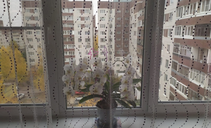 Подоконник больше не холодный, и перестало дуть из щелей и стыков: 3 шага и дома тепло даже в - 40